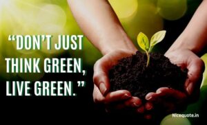 80+ Best Slogans On Save Trees And Save Tree Quotes June 2024